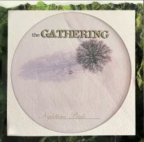 The Gathering ‎– Nighttime Birds PICLP + Jacket and insert