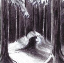 Havukruunu – Havulinnaan CD
