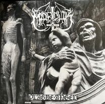 Marduk ‎– Plague Angel LP Gatefold (2023rp Marble)