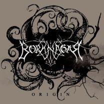 Borknagar - Origin LP