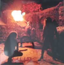 Immortal ‎– Diabolical Fullmoon Mysticism LP Gatefold (Orange / Black Splatter Vinyl)