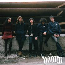 Vanity ‎– Rarely If Ever 7"